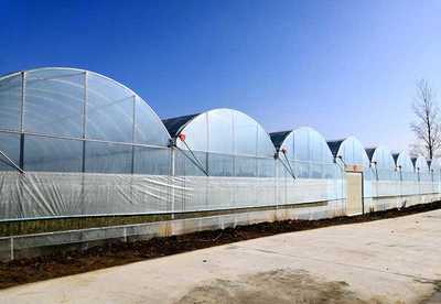 信阳平桥区 春耕生产如火如荼，科技助力守护“米袋子”“菜篮子”