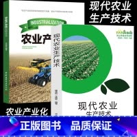 小麦农业生产经营关键技术解析