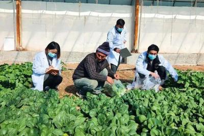 科技赋能，品质兴农——德州现代农业技术引领高质量发展