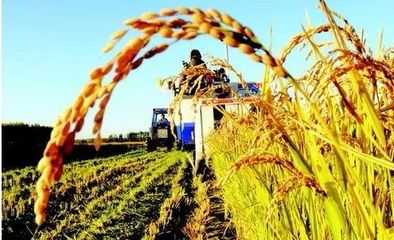 宜春职业技术学院财会金融学院 助力现代农业发展的技术赋能