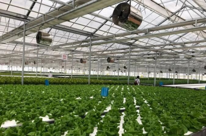 技术赋能与模式创新 正大慈溪现代农业园区的中国式农业园区实践与启示