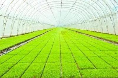 一文读懂智慧农业 行业机会、发展模式、场景应用与未来路线