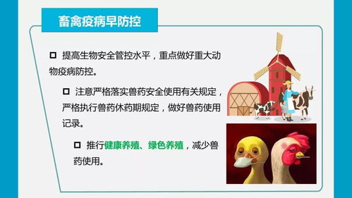 疫情防控期间强化农产品质量安全监管，严防禁用兽药等风险隐患