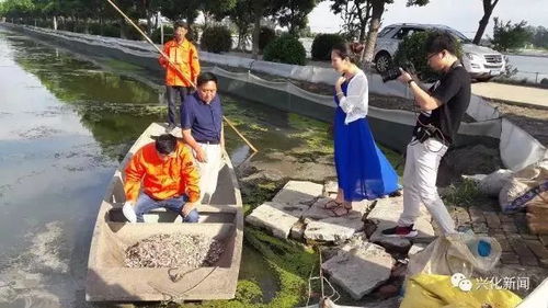 从央视到国家农业机构点赞 通威鱼、海大鱼、白蕉海鲈、兴化大闸蟹，谁更胜一筹？